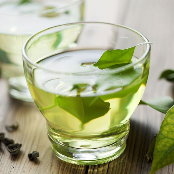 Zeleni čaj (Thea sinensis)