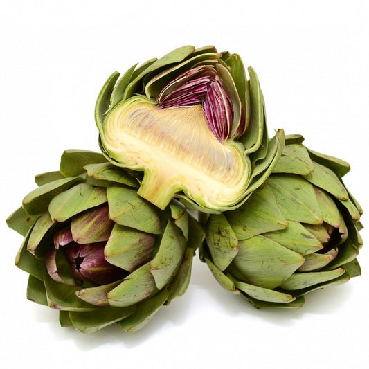 Artičoka (Cynara scolimus)