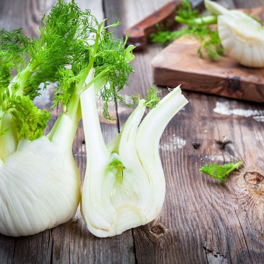 Morač (Feoniculum vulgare)