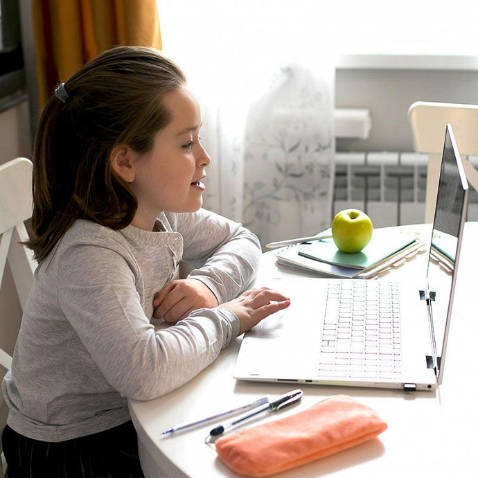 Vaša deca sada imaju virtuelnu nastavu, da li je to dovoljno ili je potrebno za njih osmisliti i virtuelnu učionicu?